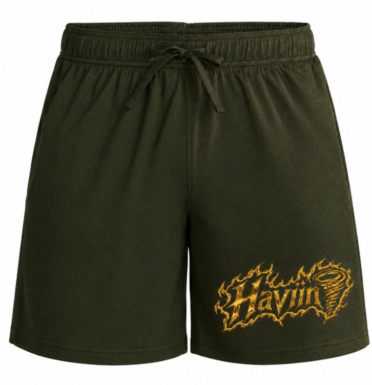 Haviin🌪️ Basketball shorts