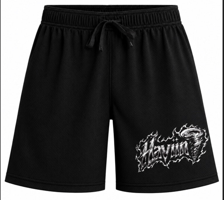 Haviin🌪️ Basketball shorts