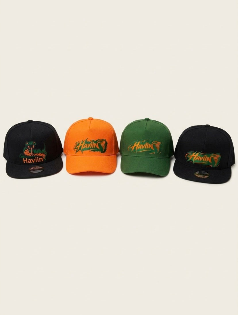Haviin🌪️ SnapBack hats