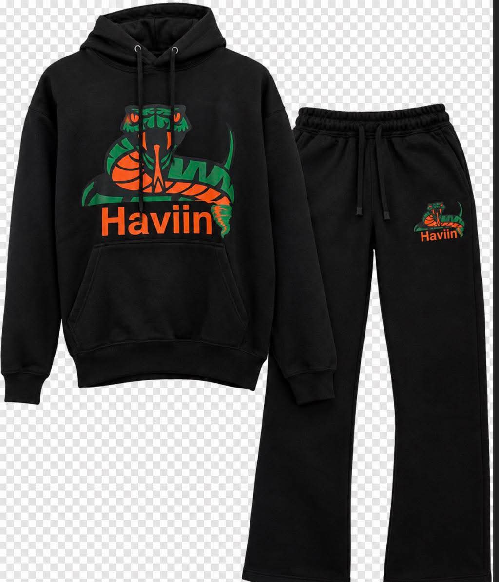Haviin hoodie and stacked pants set