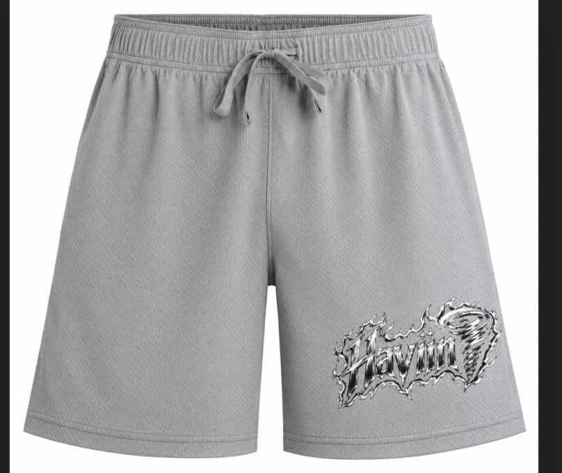 Haviin🌪️ Basketball shorts