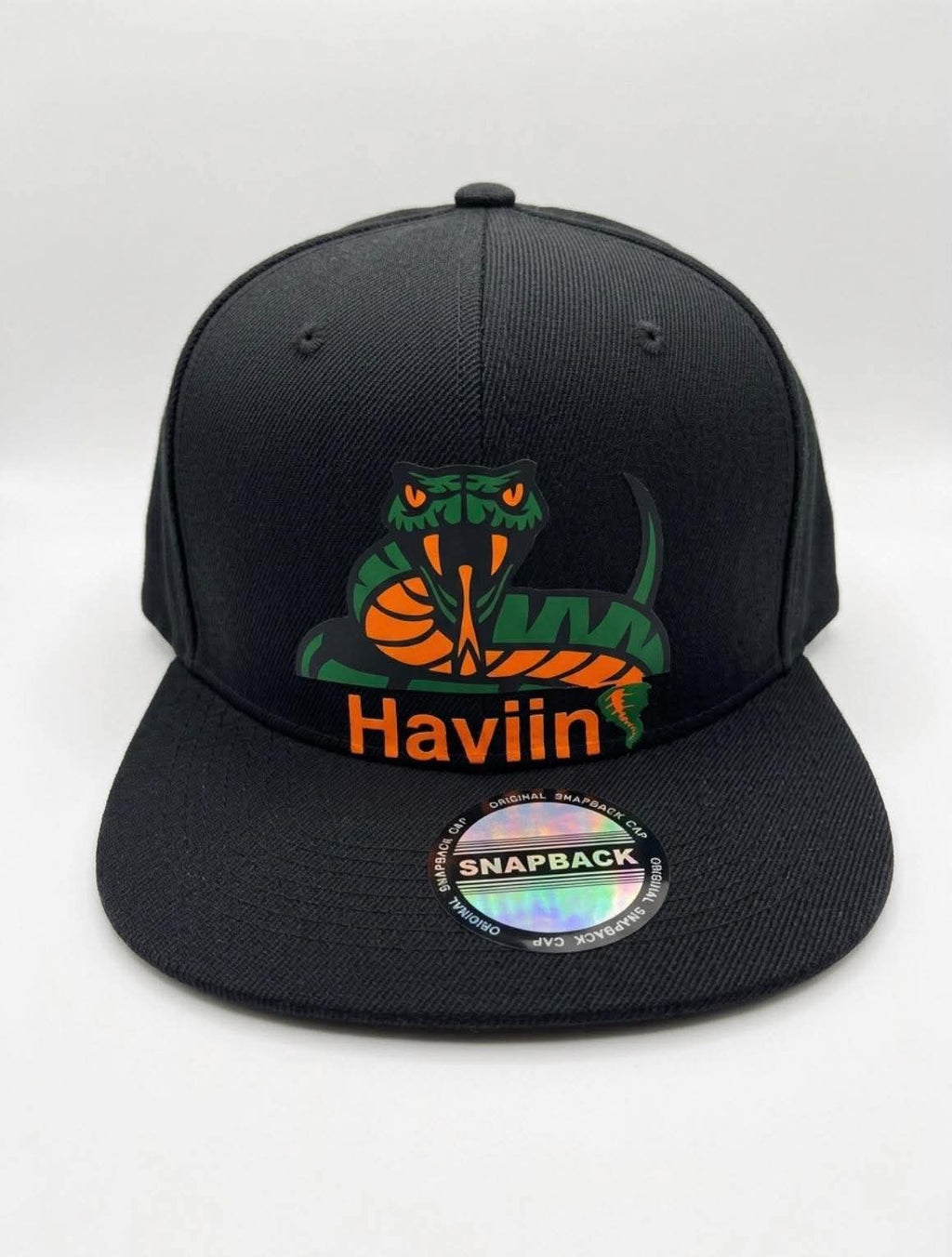 Haviin🌪️ SnapBacks