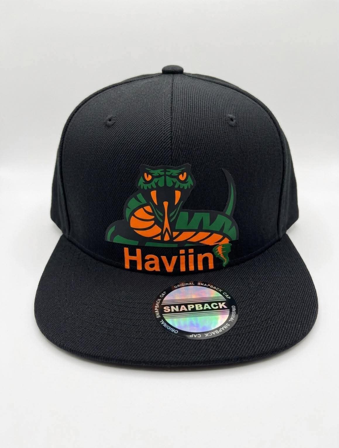 Haviin🌪️ SnapBacks